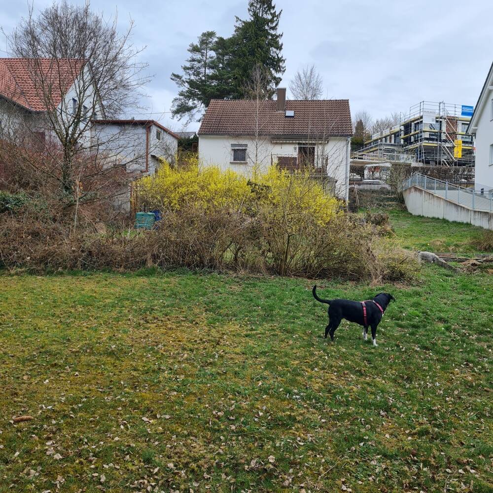 Bild 7