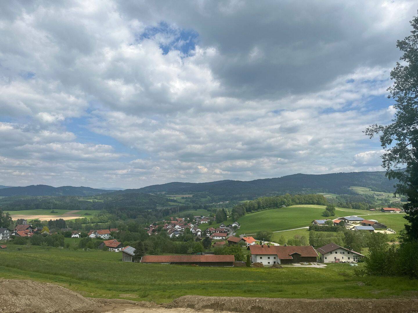Bild 7