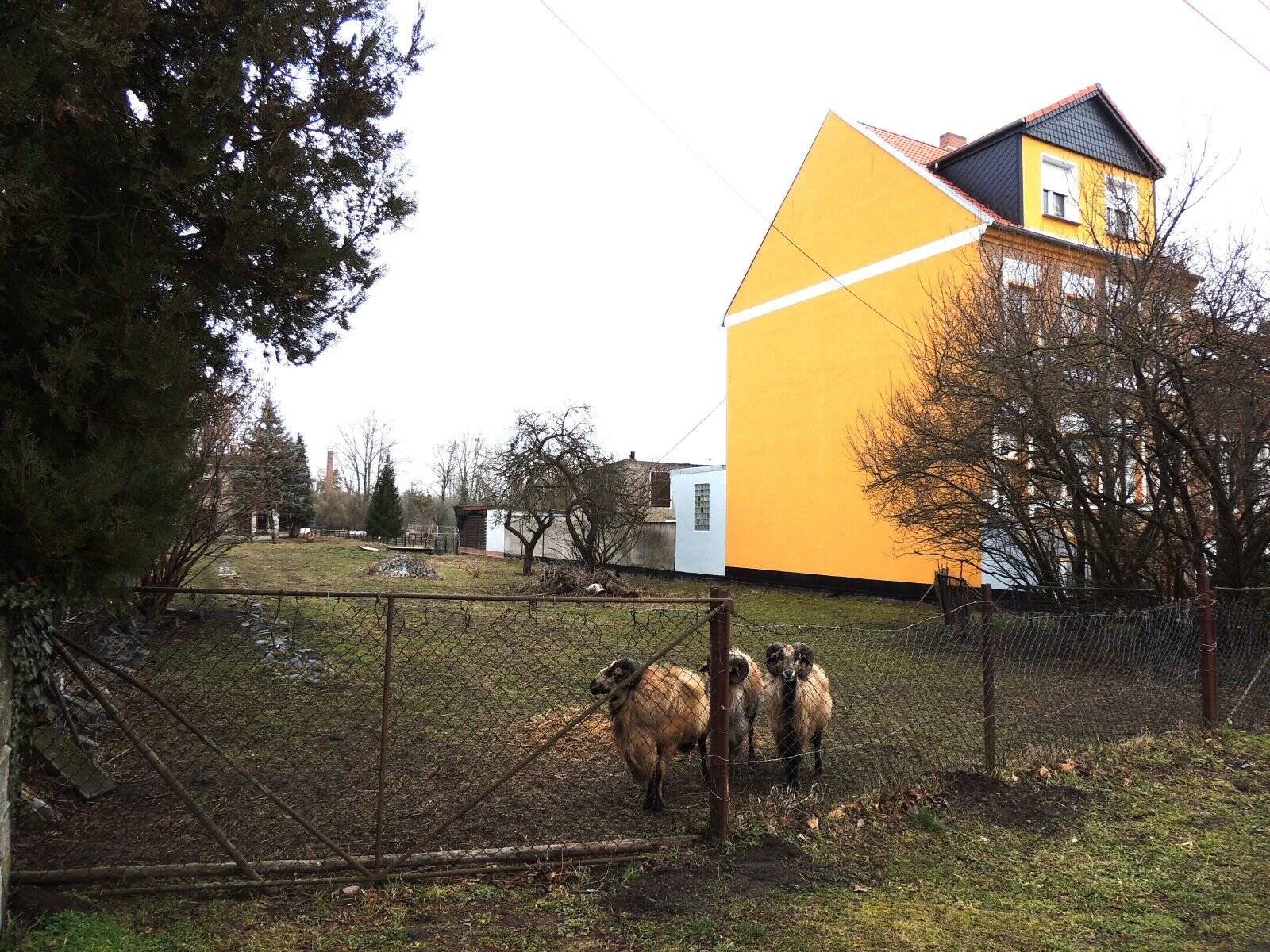 Bild 3