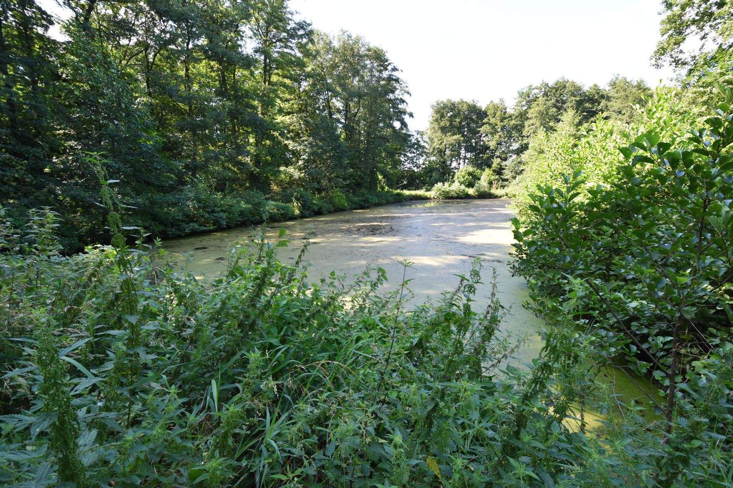 Bild 7