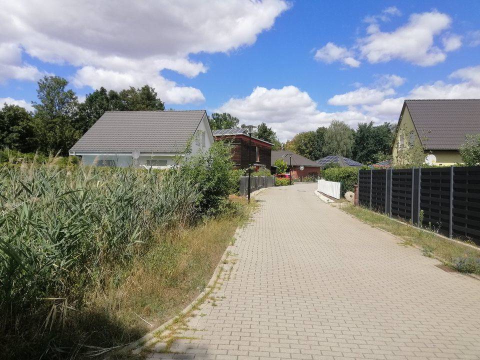 Bild 5