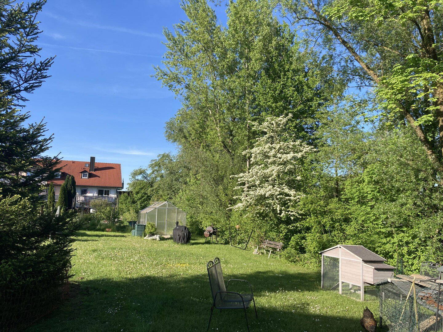 Bild 6