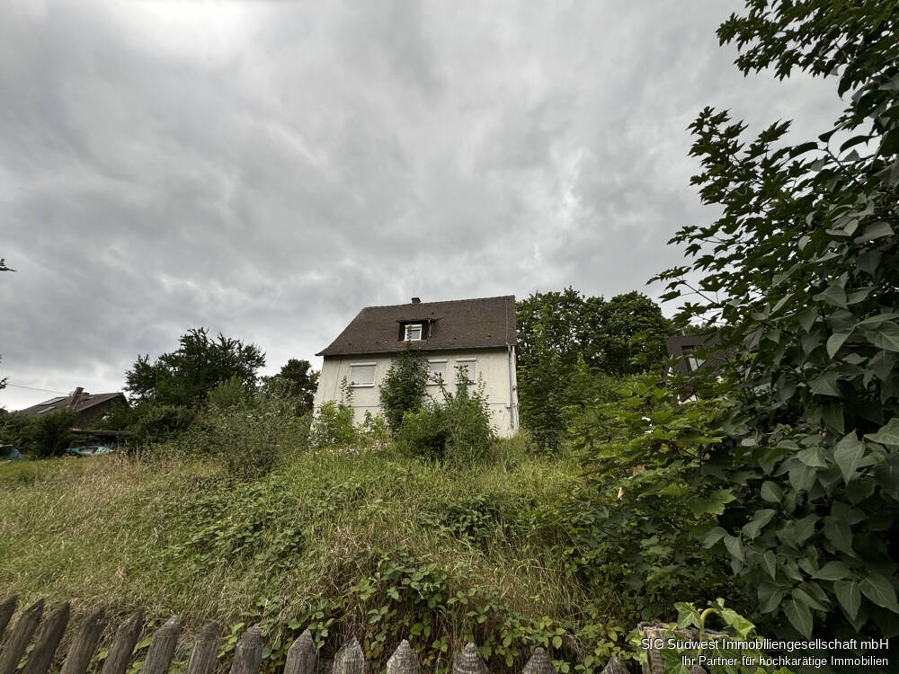 Bild 7