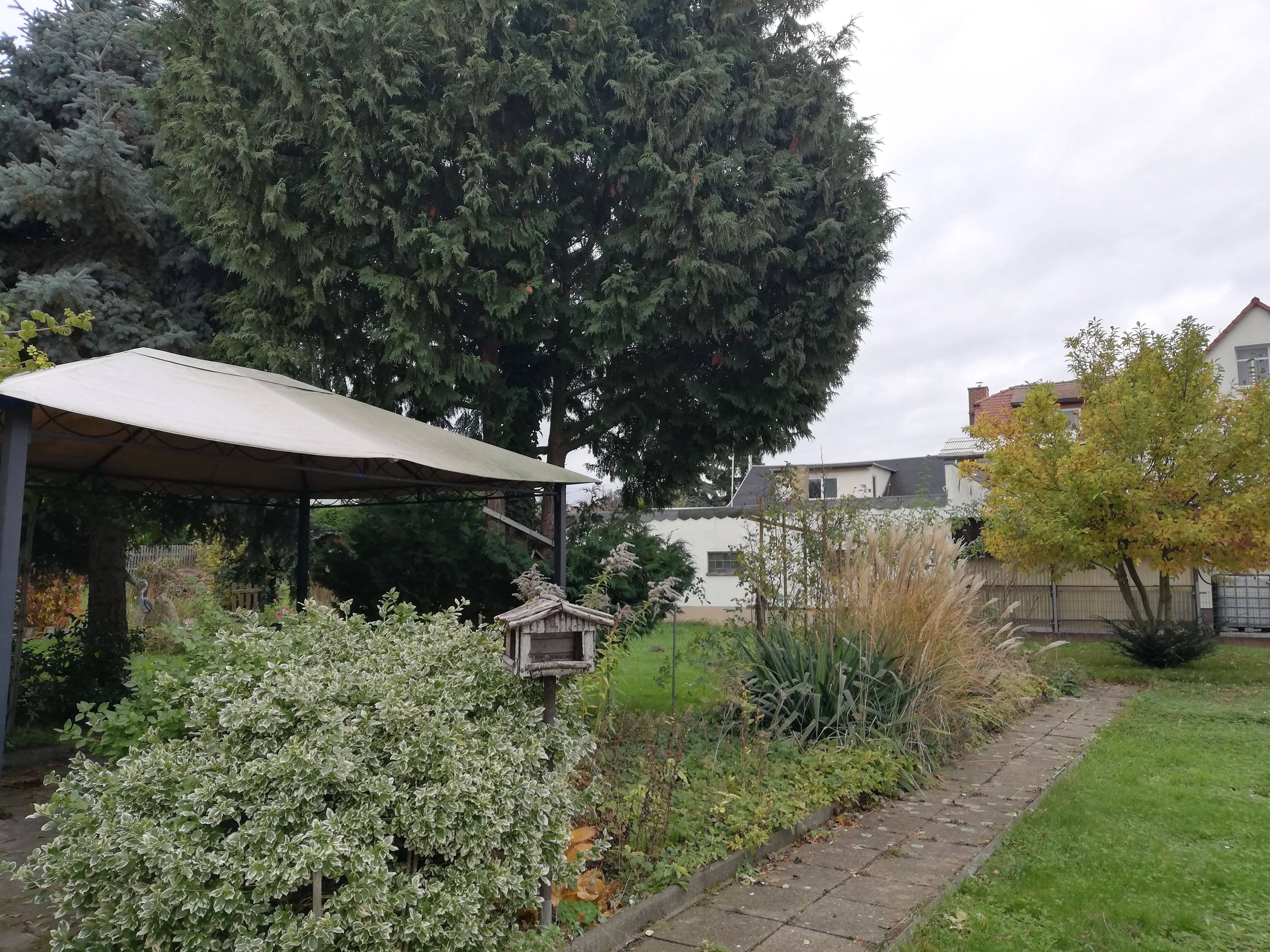 Bild 7