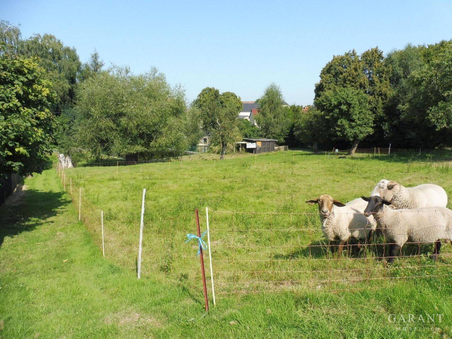 Bild 7