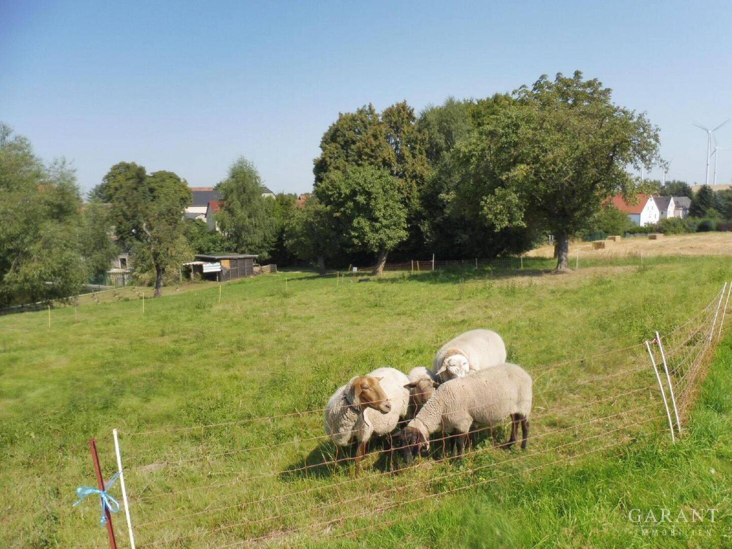 Bild 8