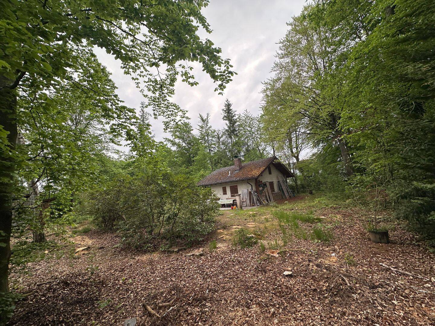 Bild 4