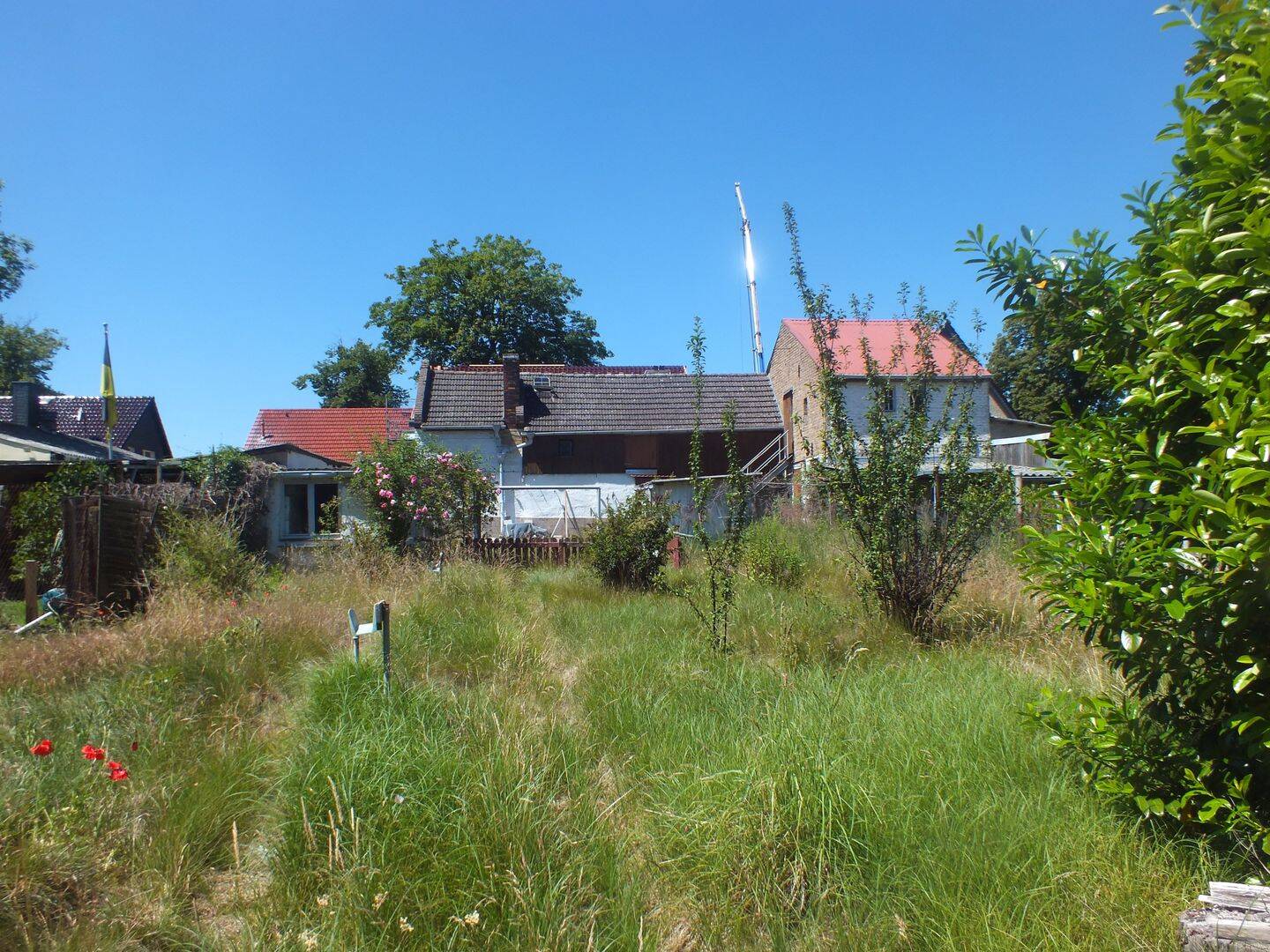 Bild 6