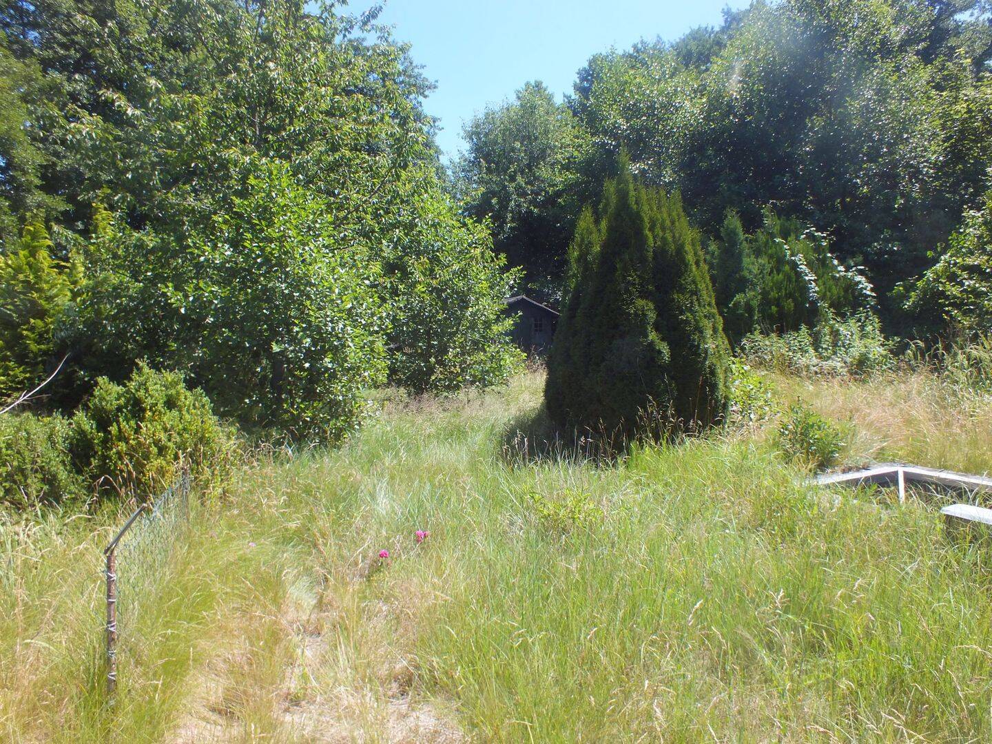 Bild 7