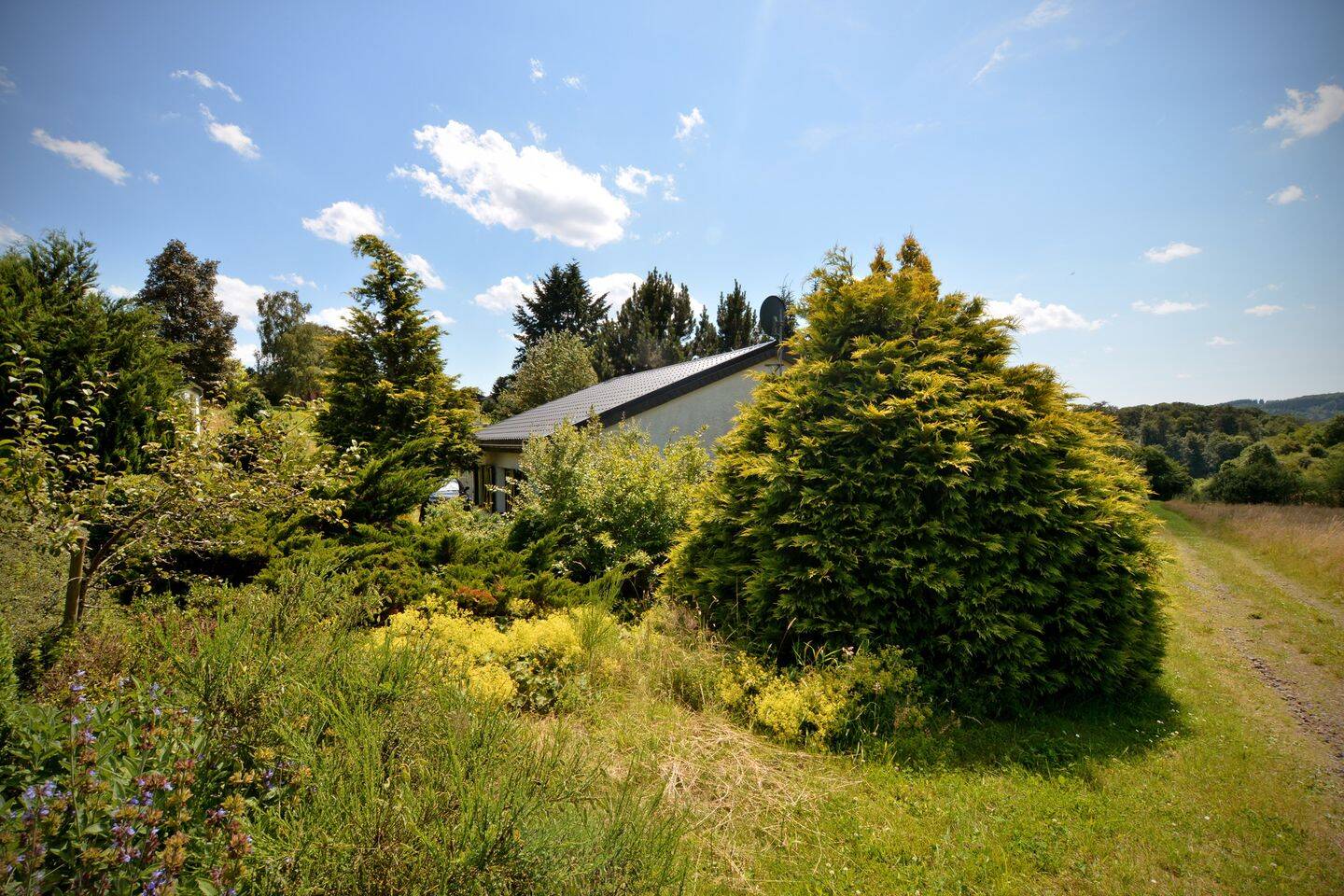Bild 11