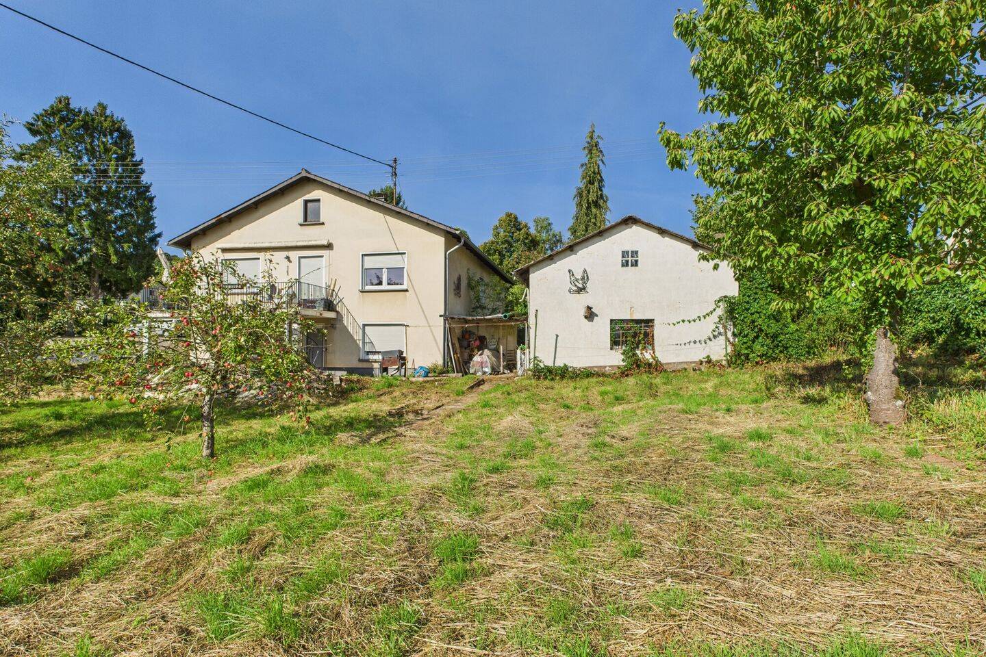 Bild 11