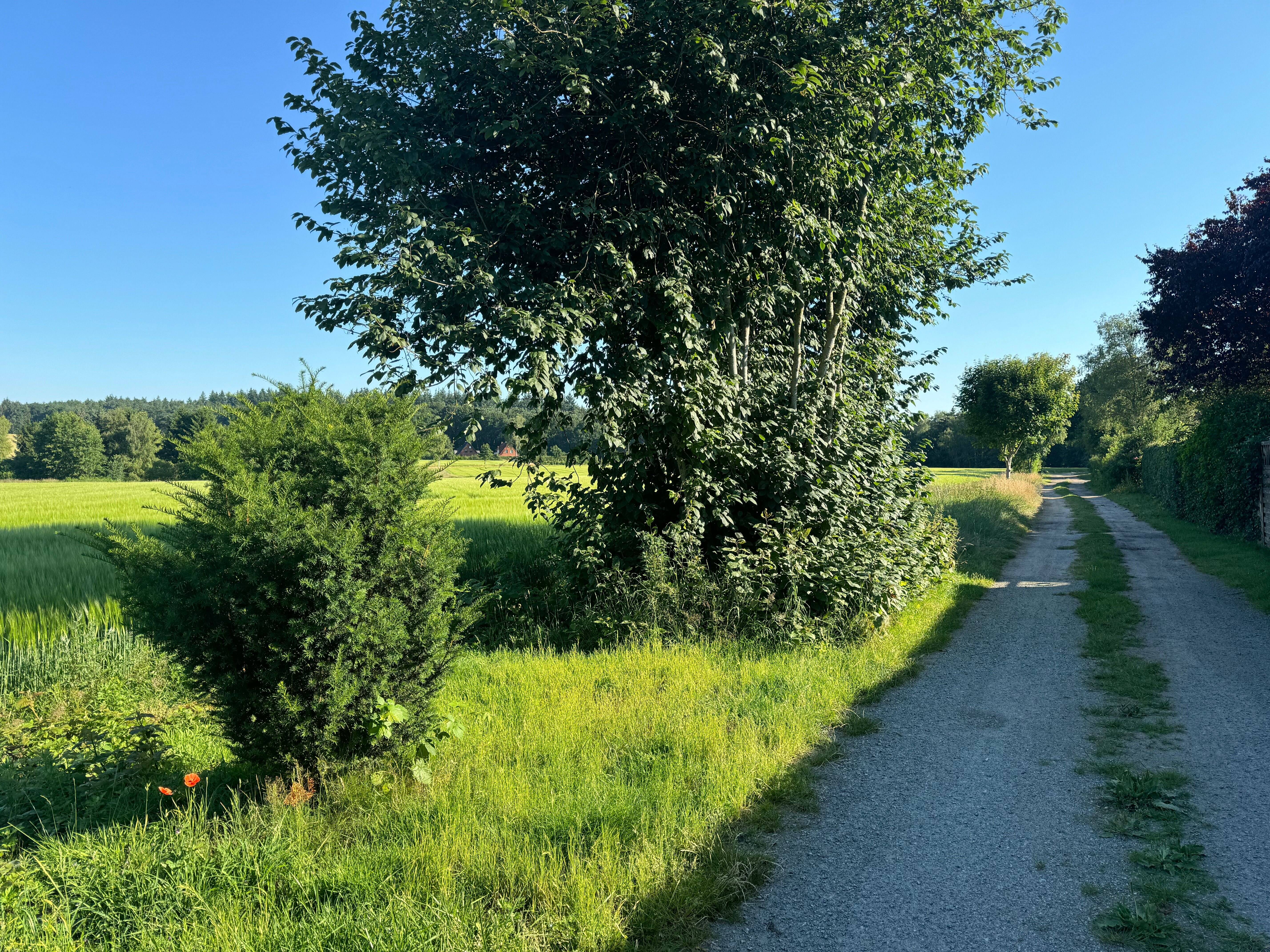 image-69969134