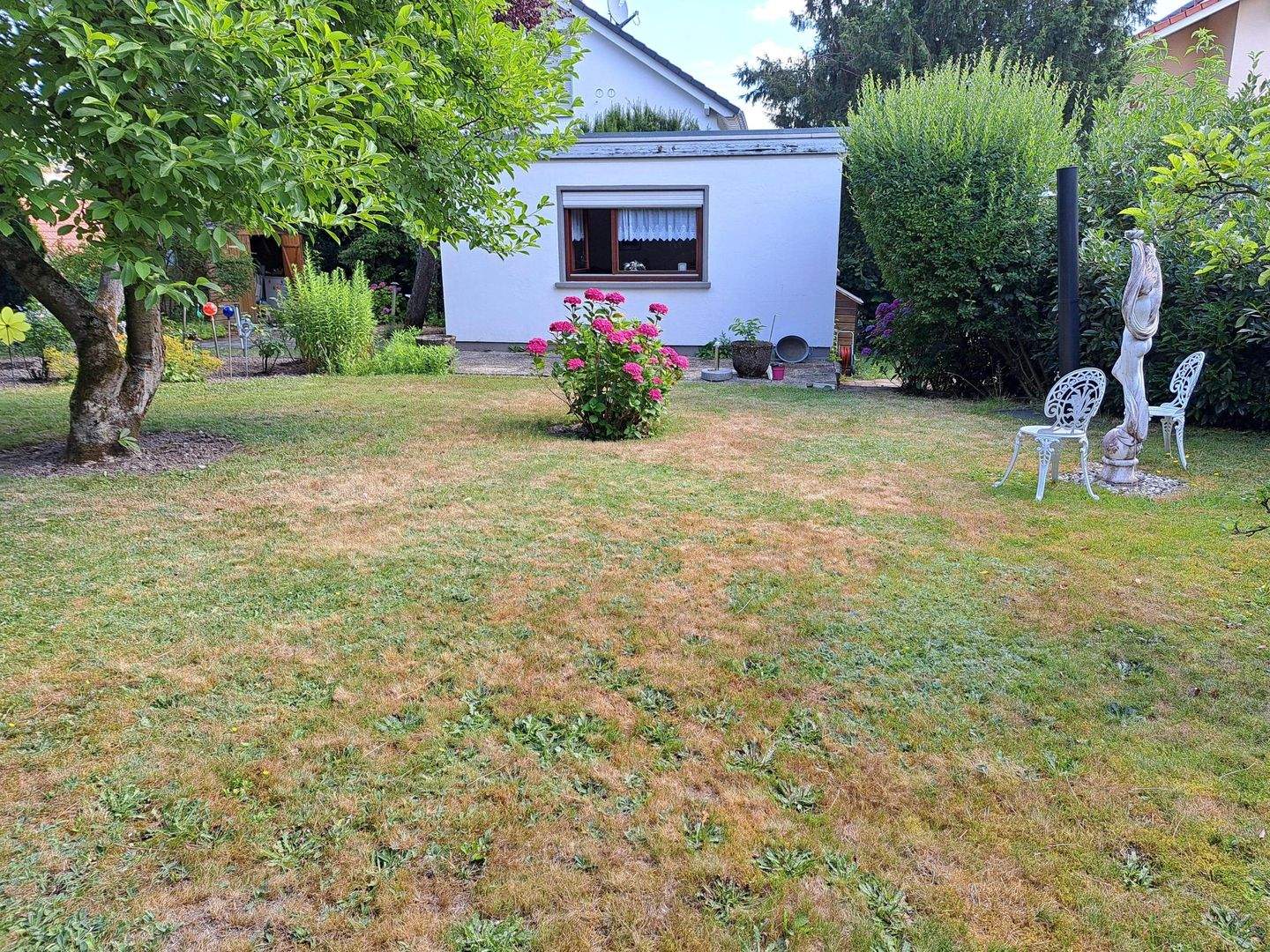Bild 7