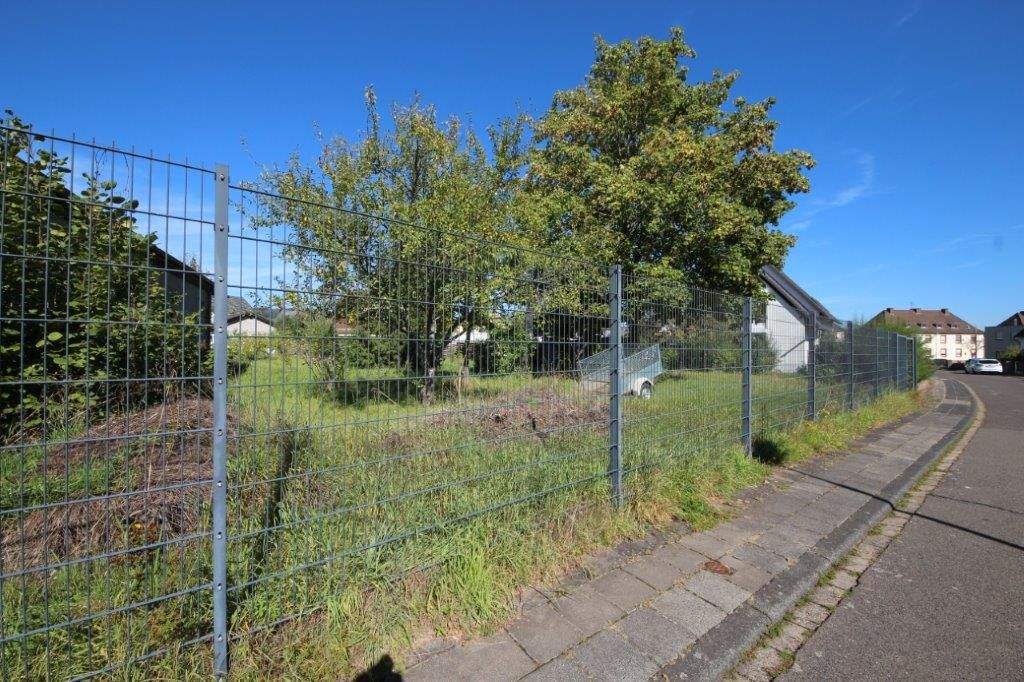 Bild 7