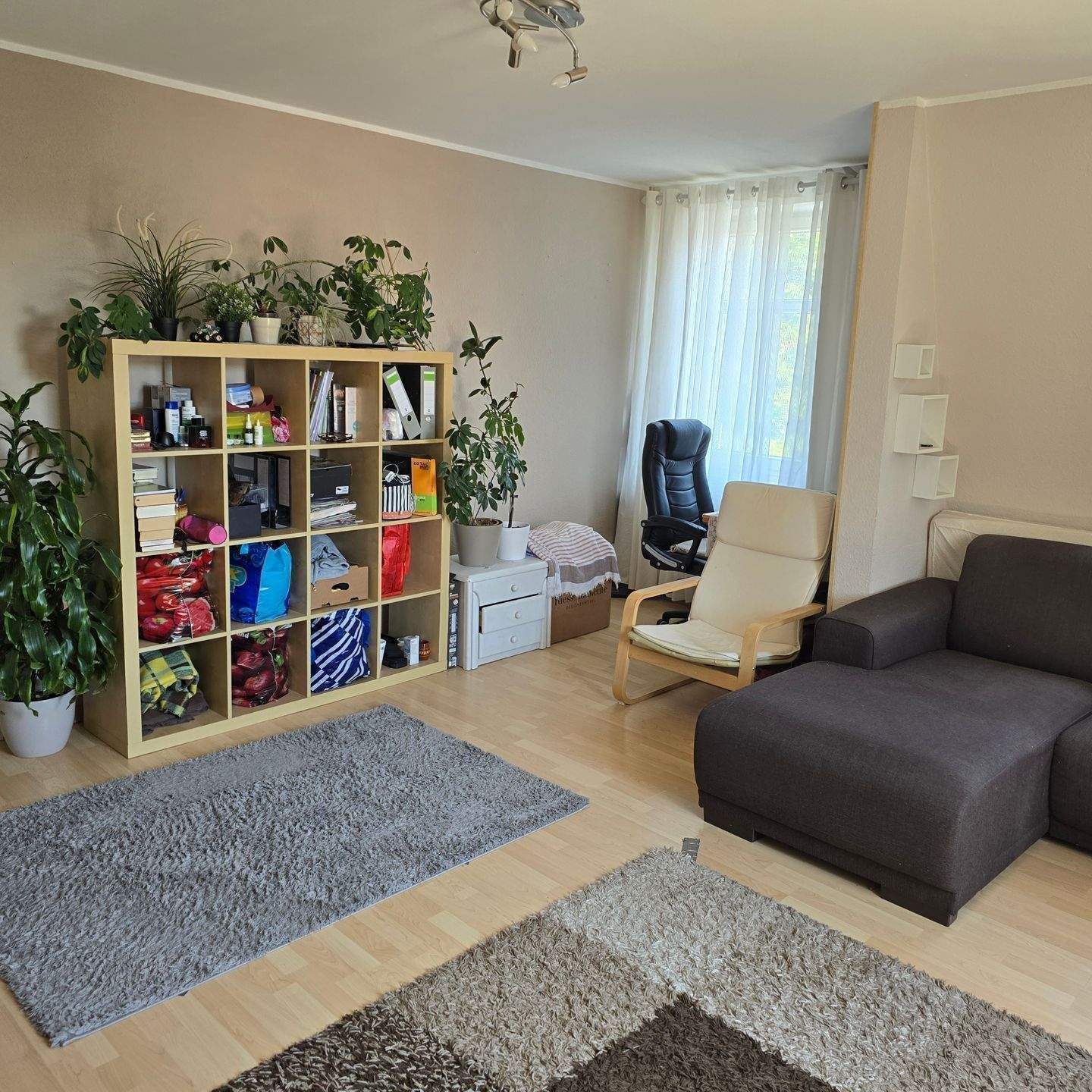 Bild 8