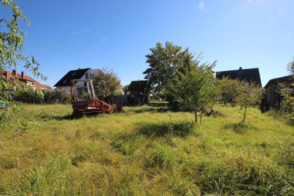 Bild 11
