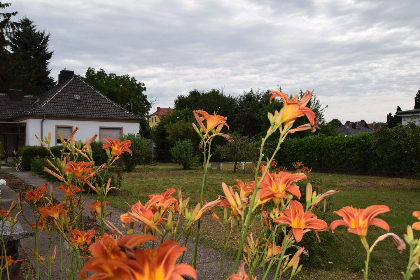 Bild 8