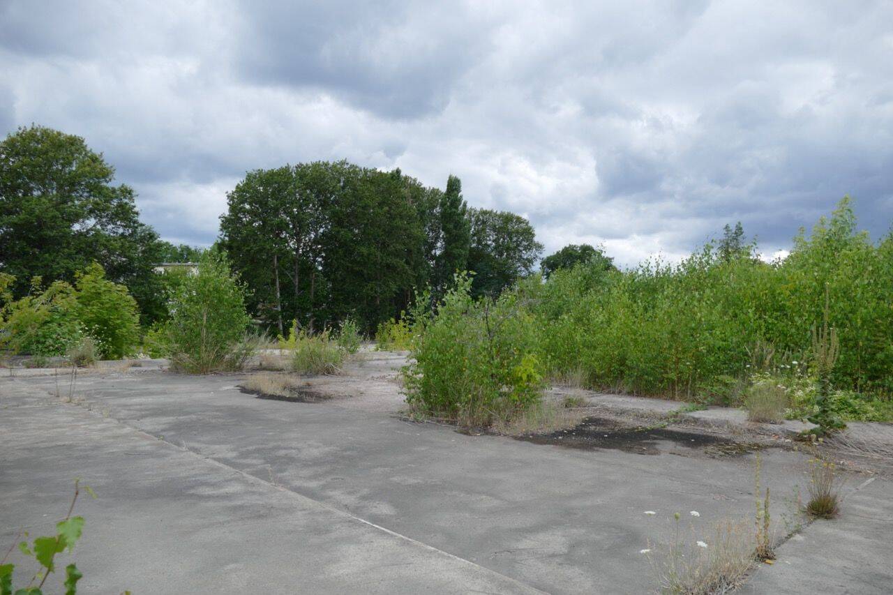 Bild 7