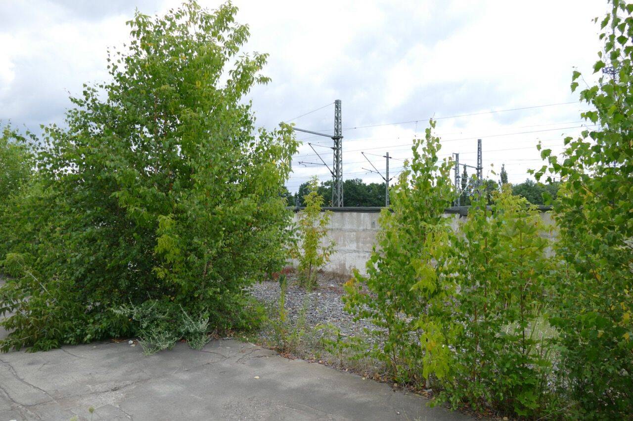 Bild 8