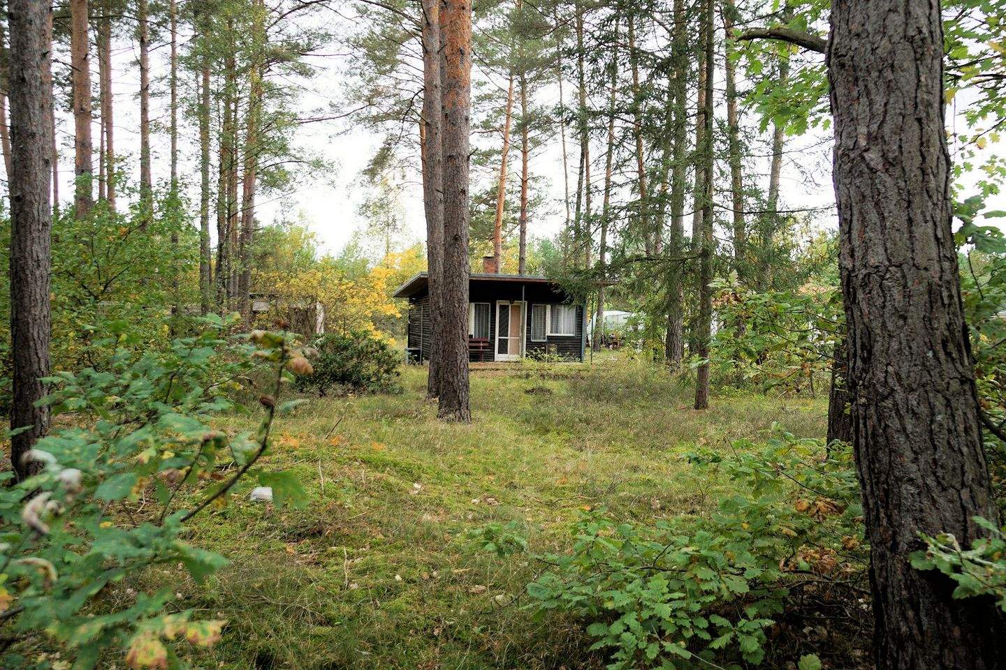 Bild 5