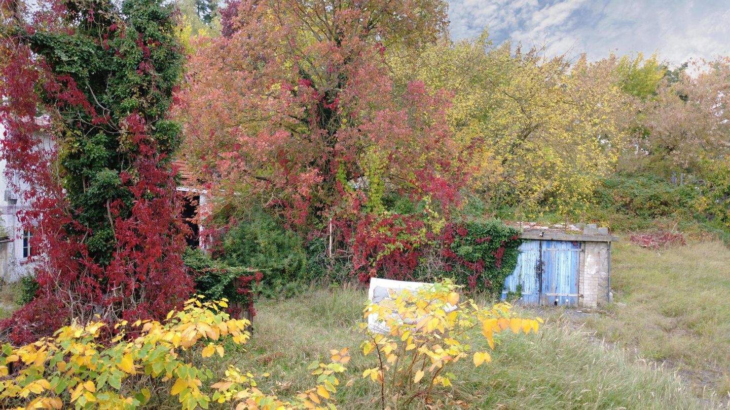 Bild 9