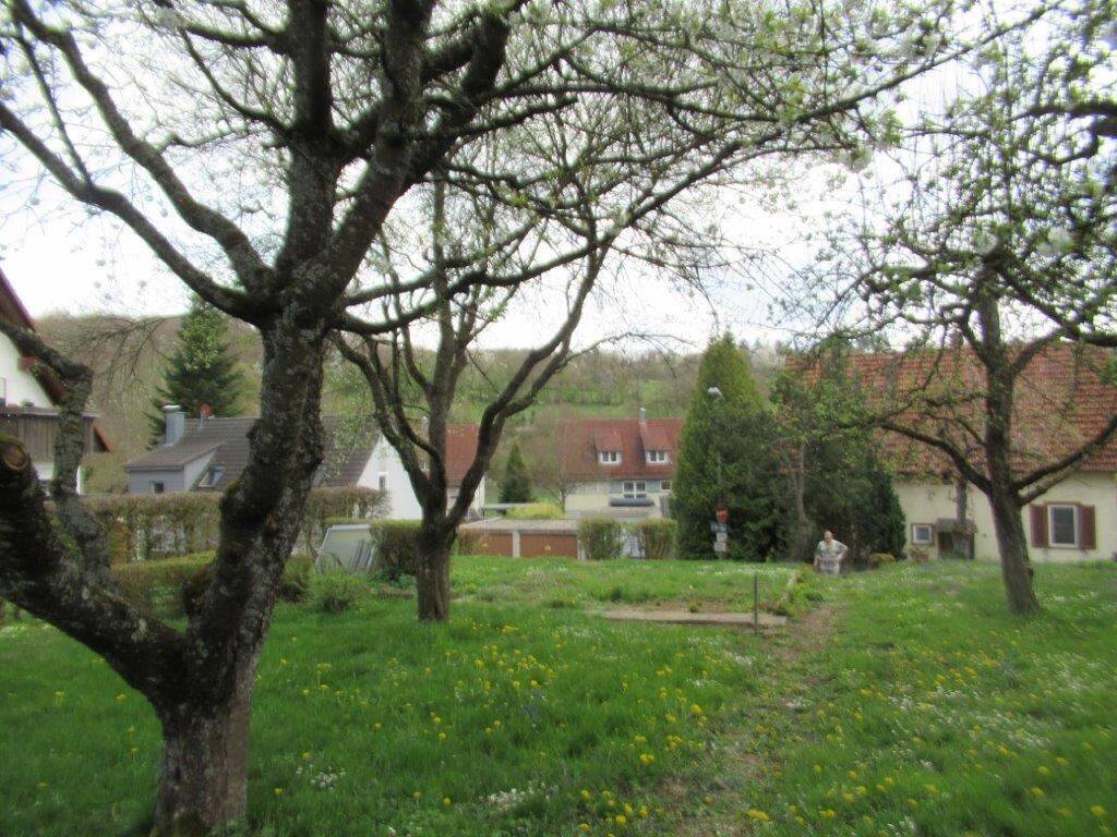 Bild 7
