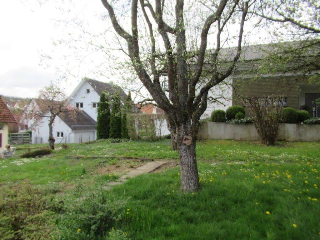 Bild 9