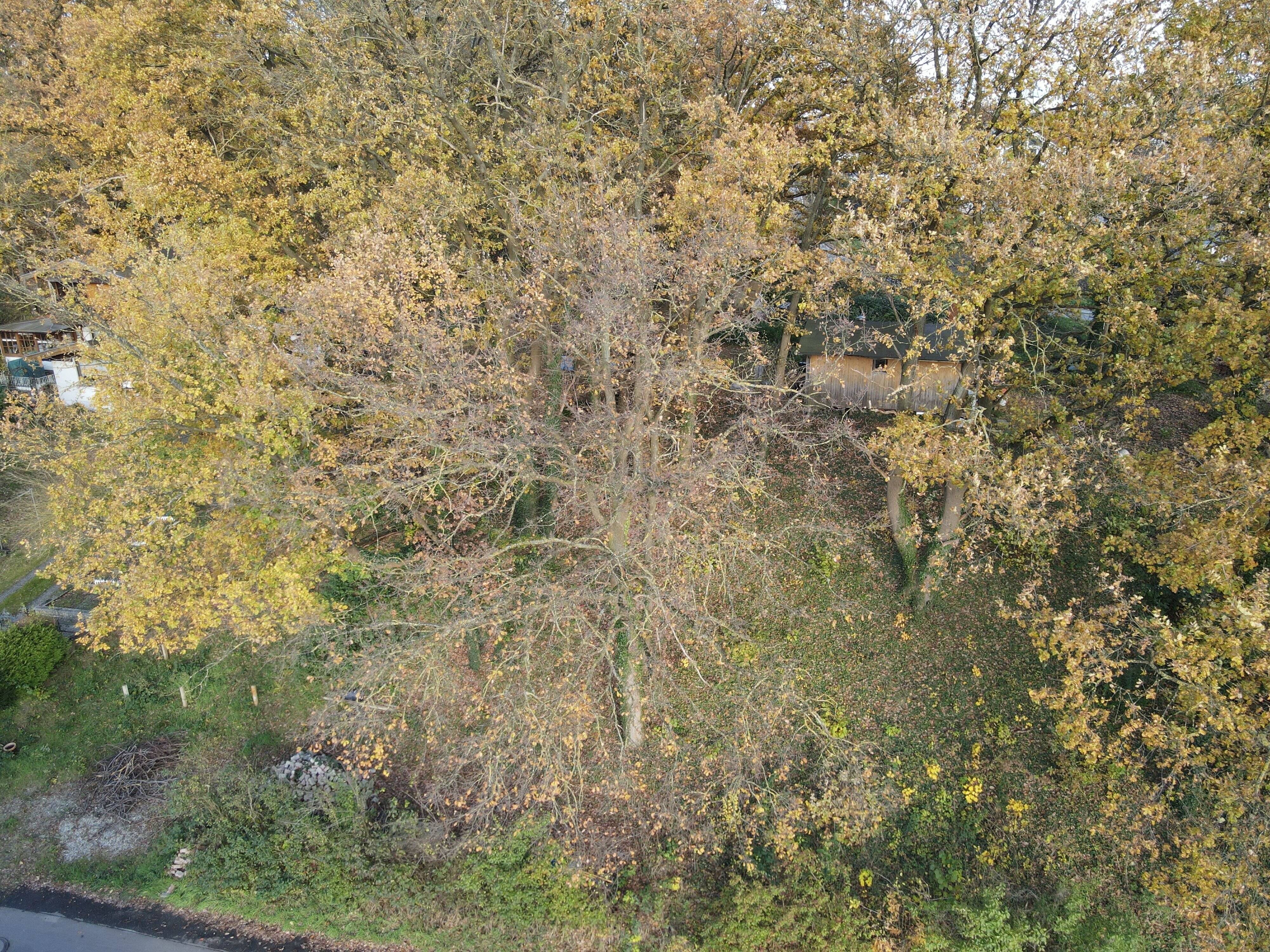 image-69972228