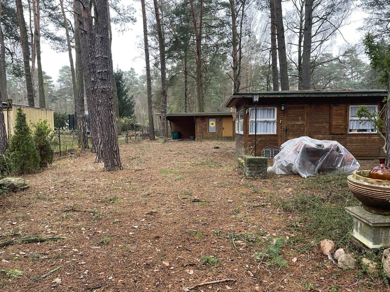Bild 11