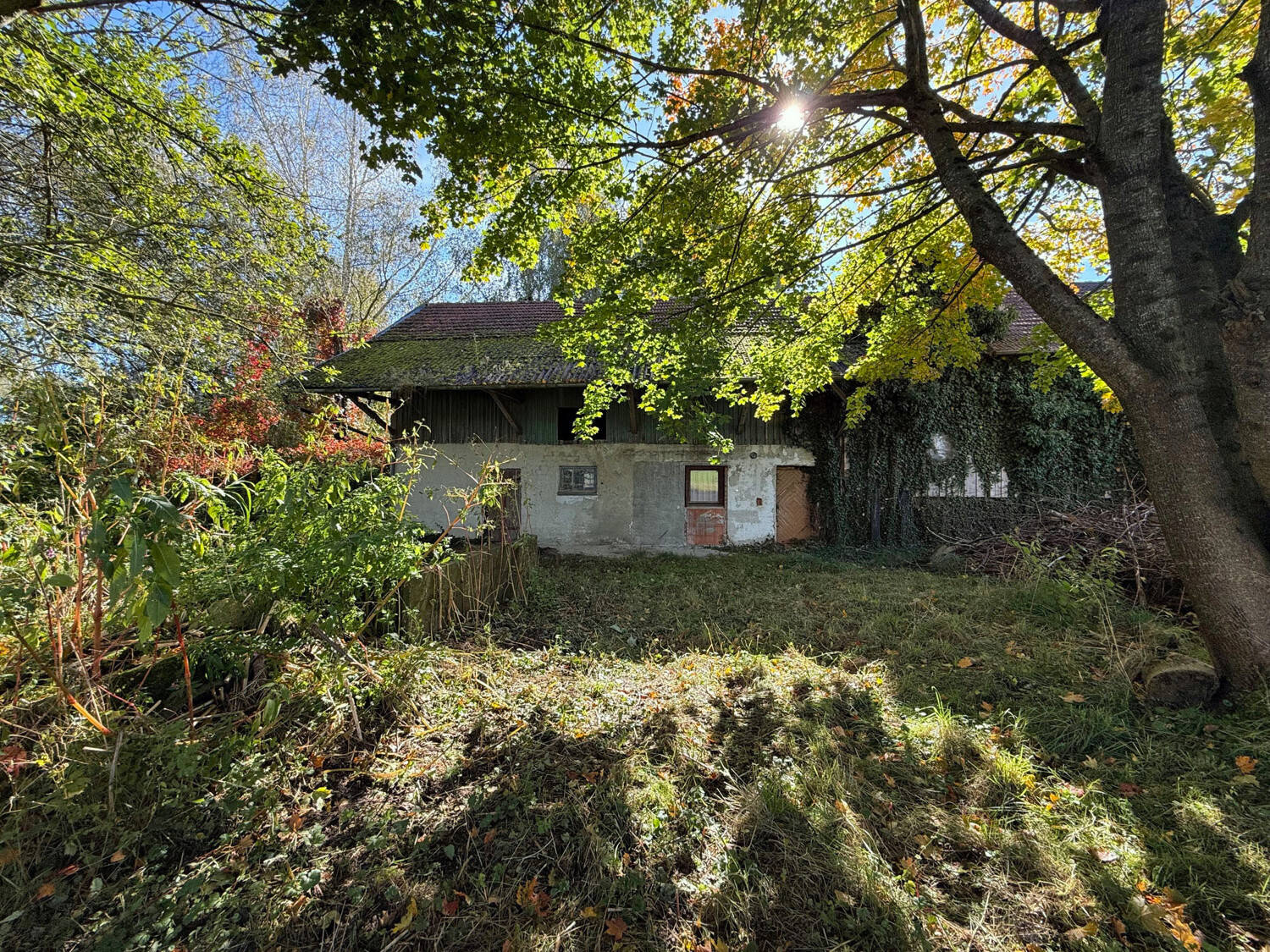 Bild 6