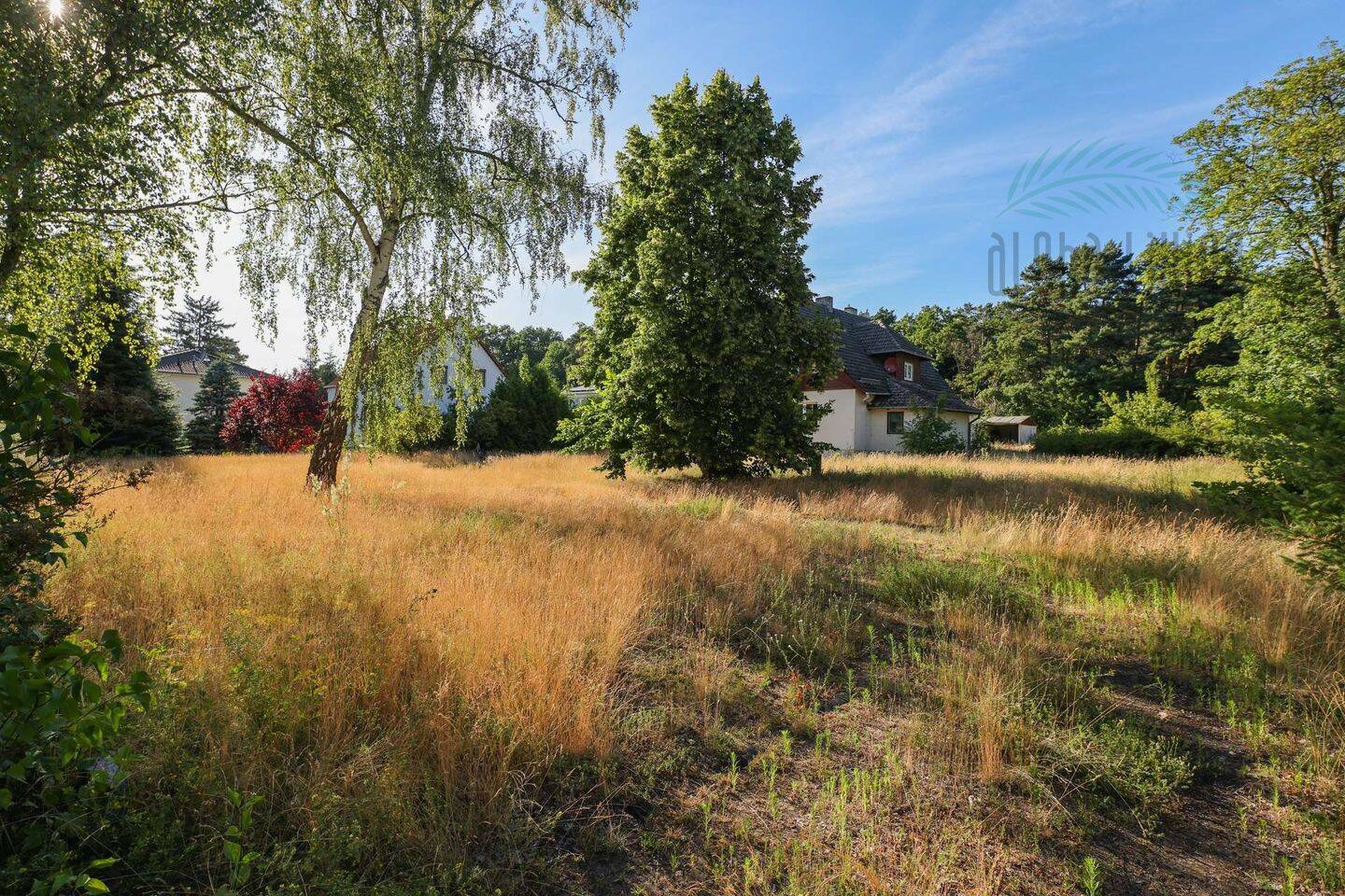 Bild 5