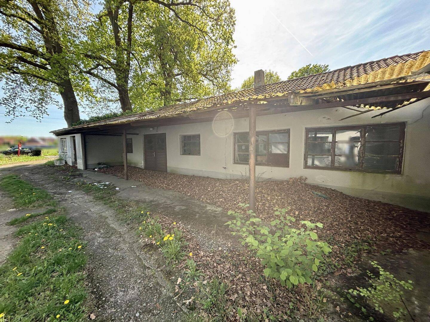 Bild 4