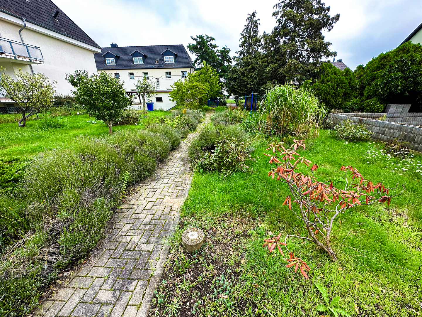 Bild 8