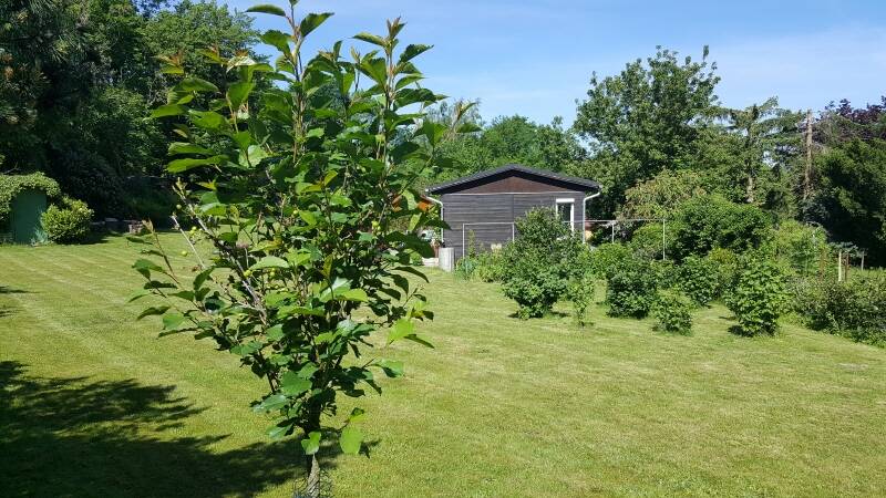 Bild 8