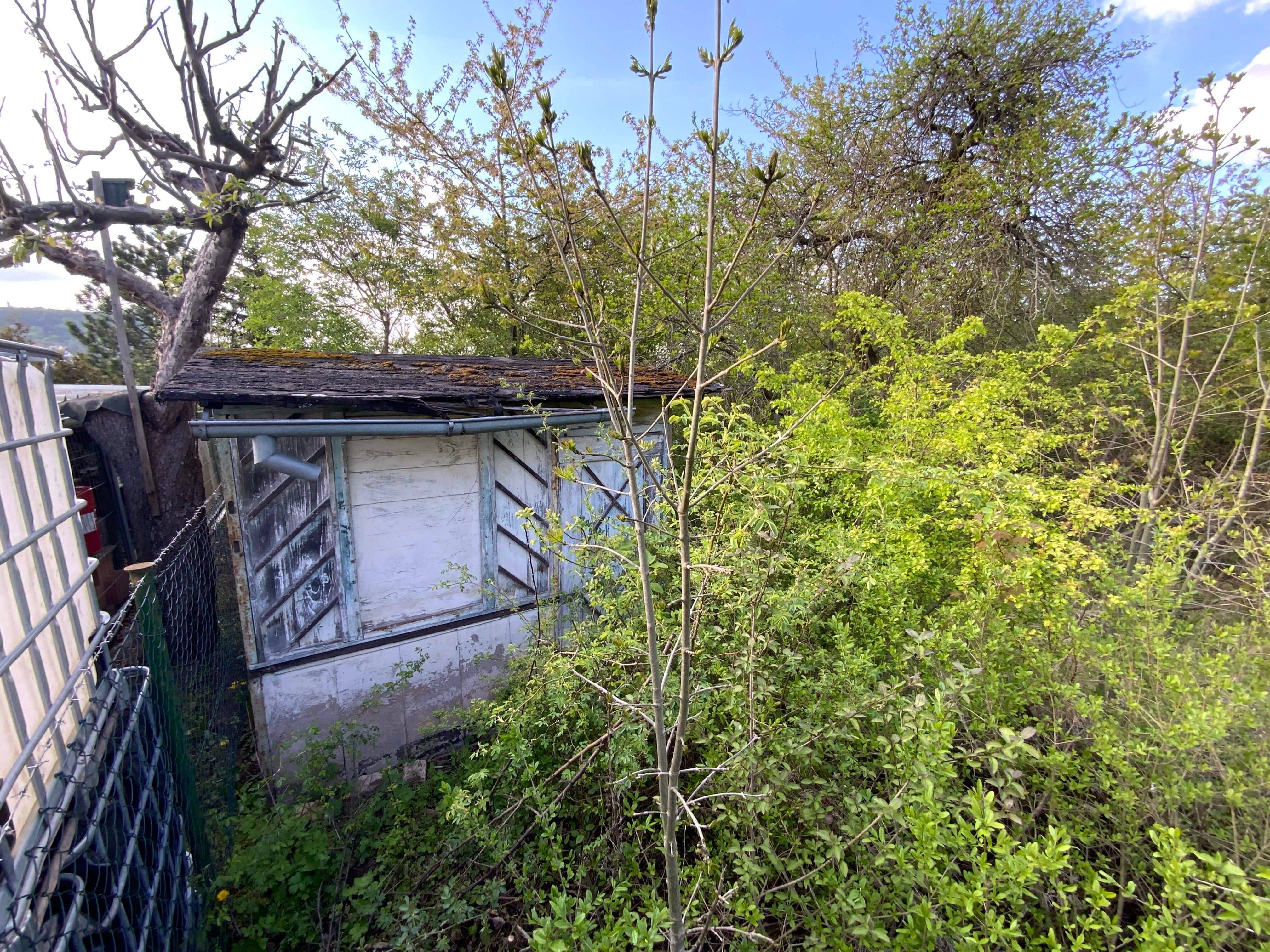 Bild 8