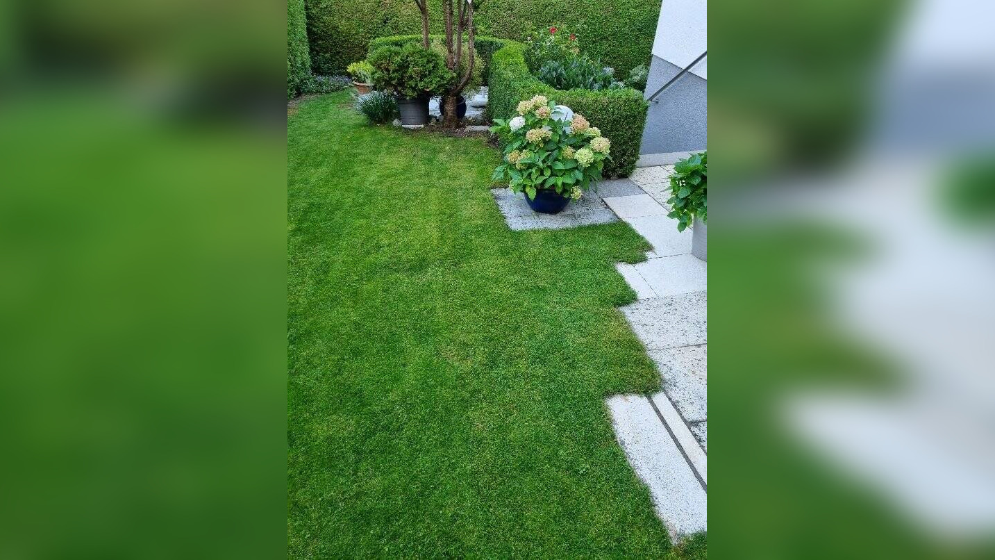 Bild 11