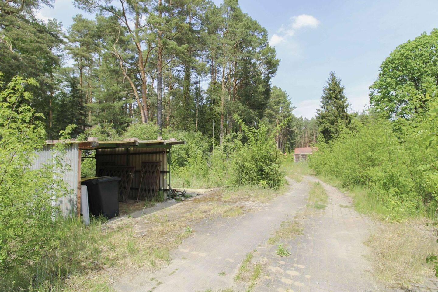 Bild 5