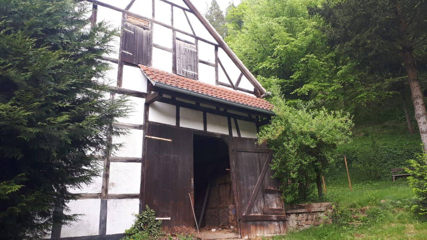 Bild 5