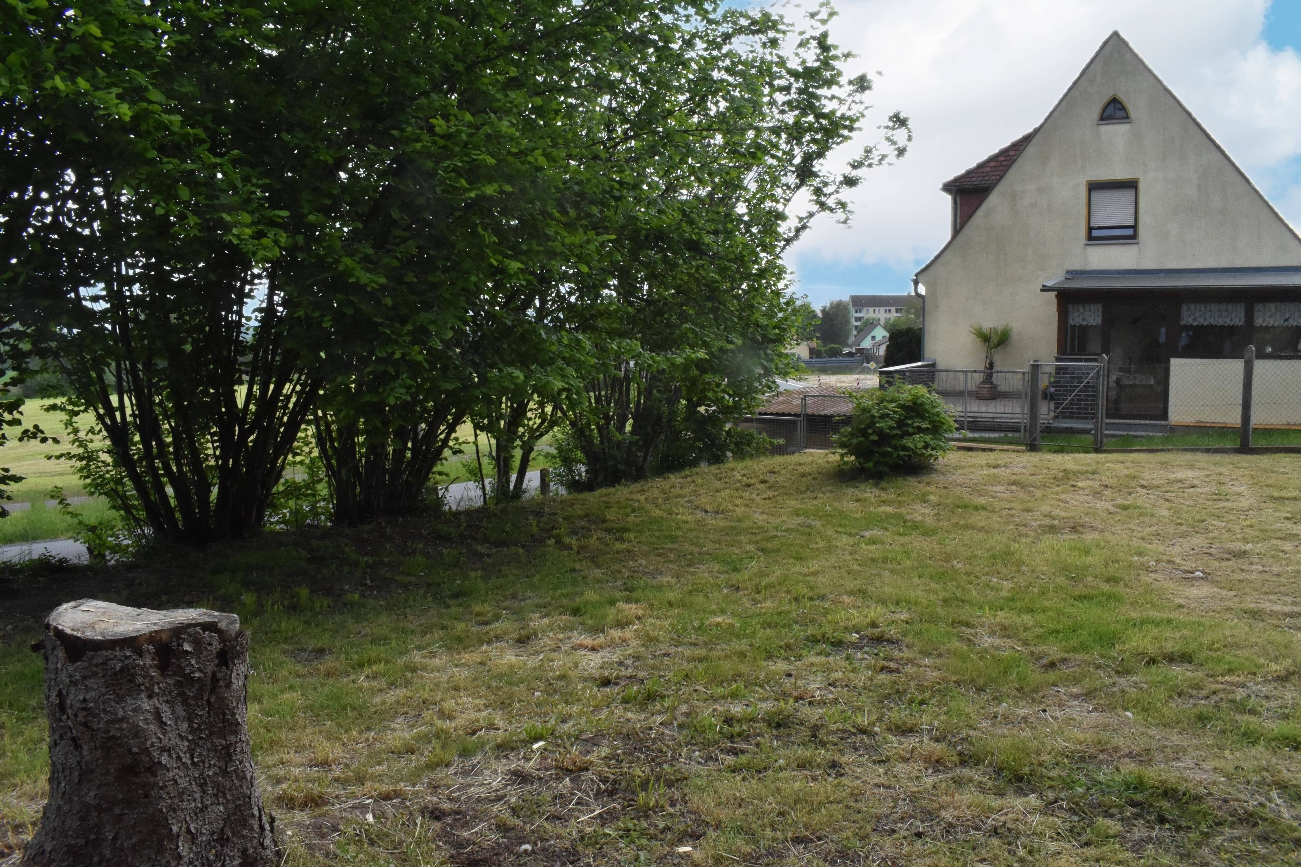 Bild 7