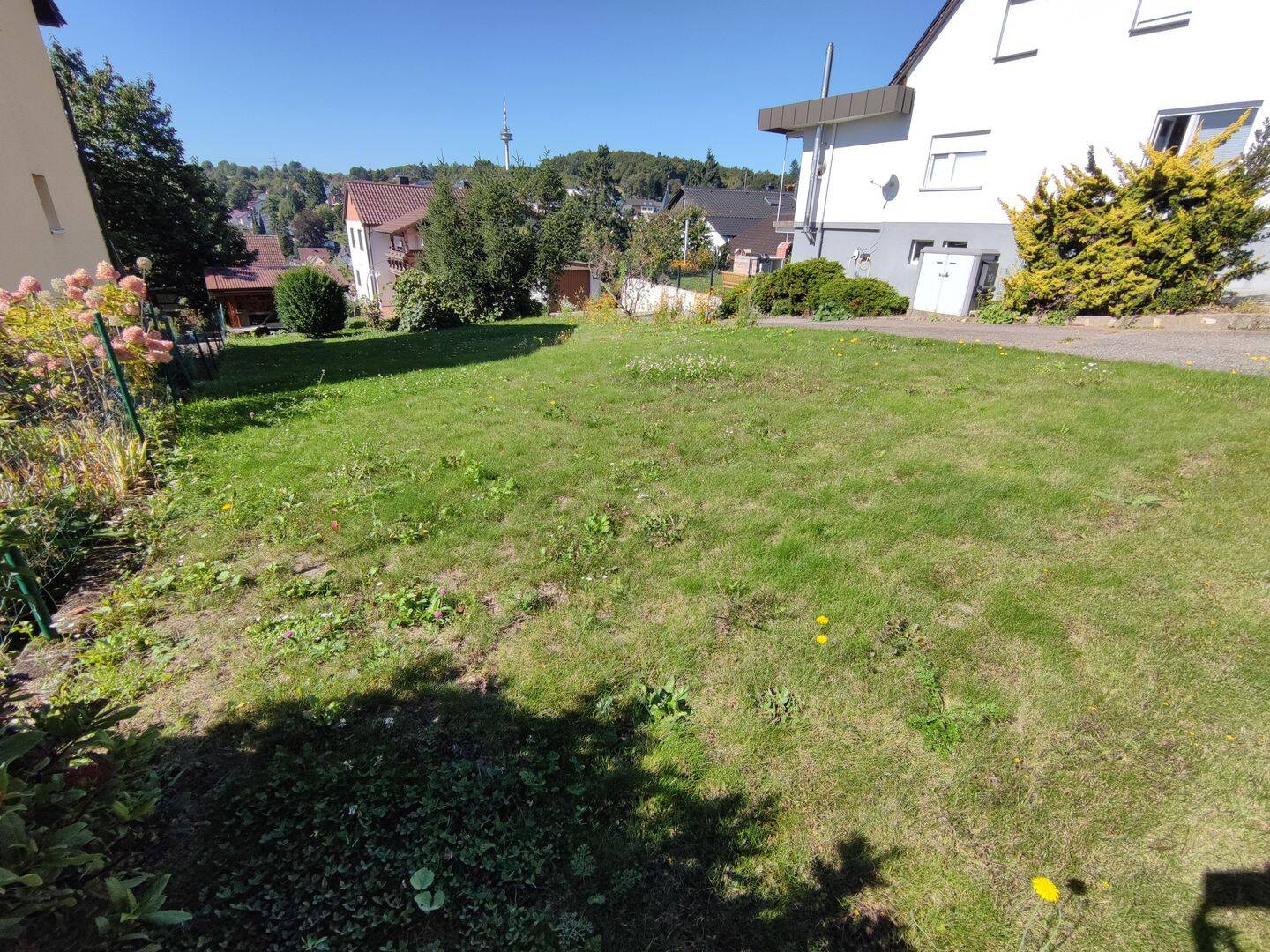 Bild 5