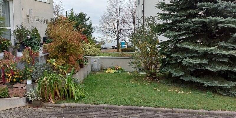 Bild 7