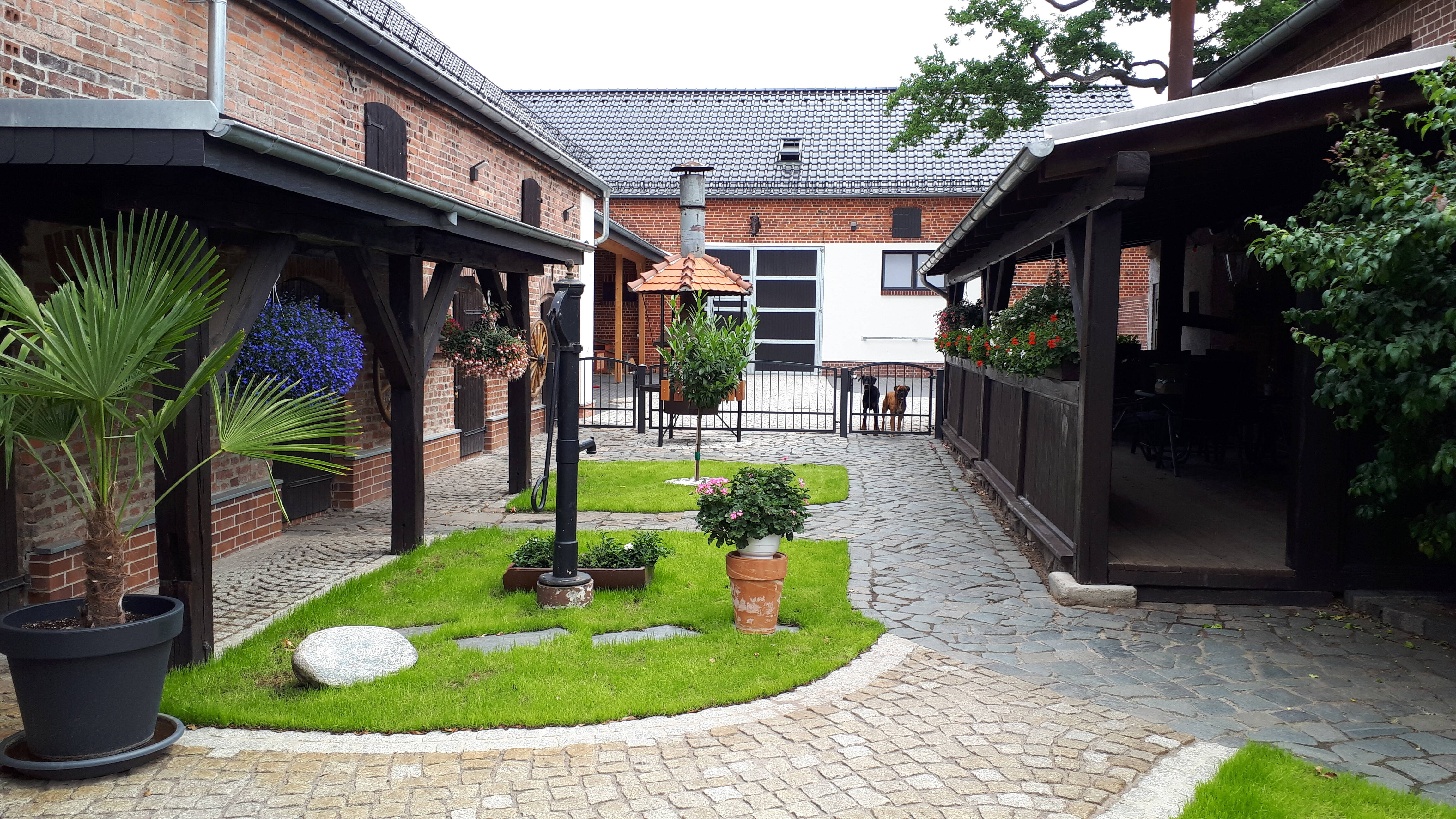 Bild 6