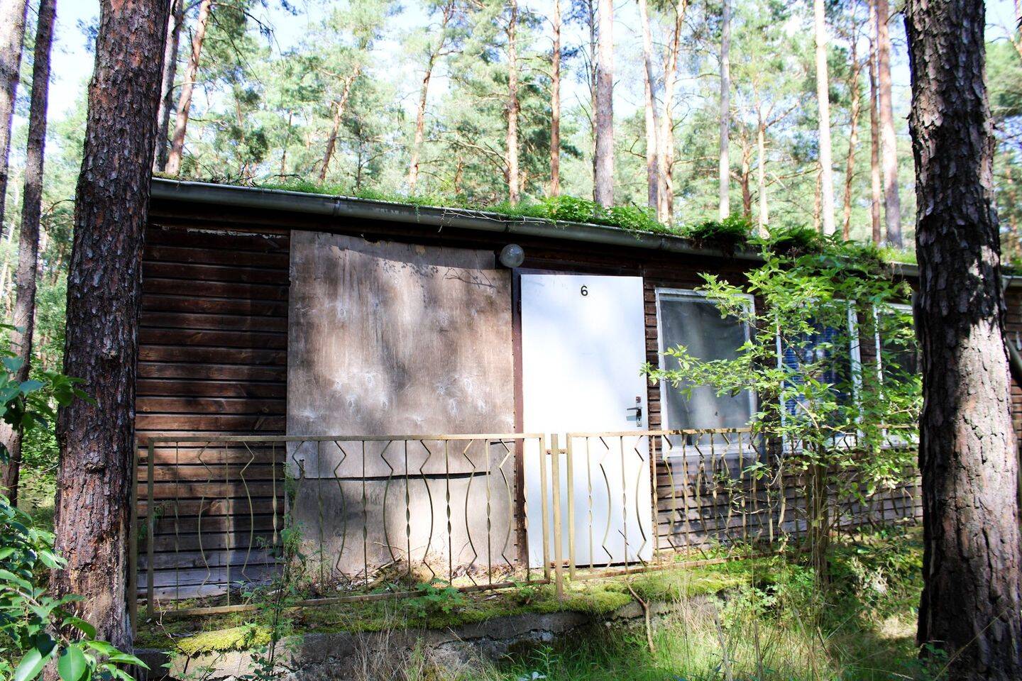 Bild 10