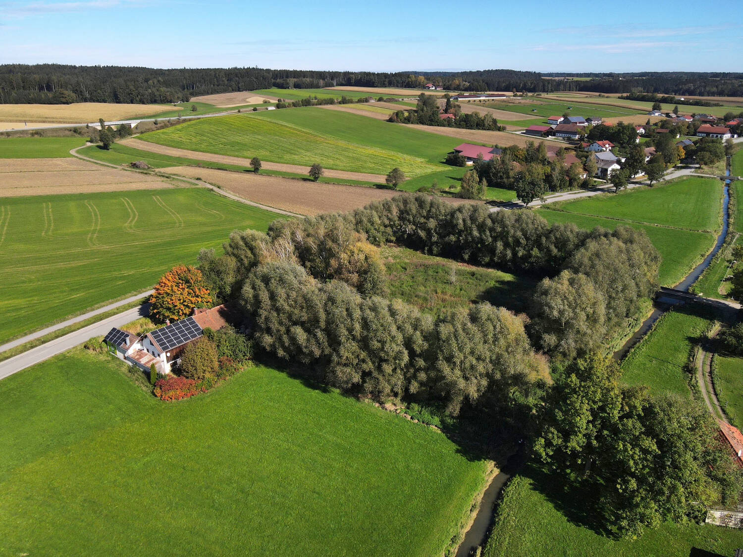 Bild 9