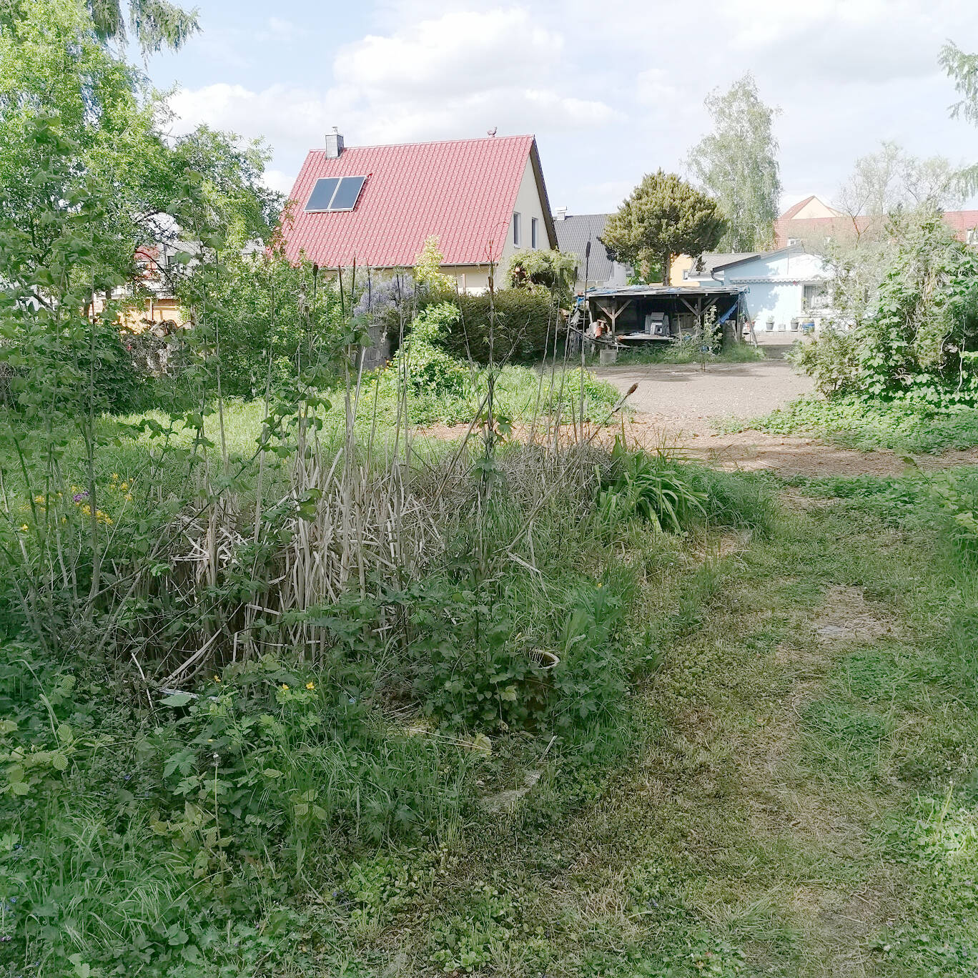 Bild 7