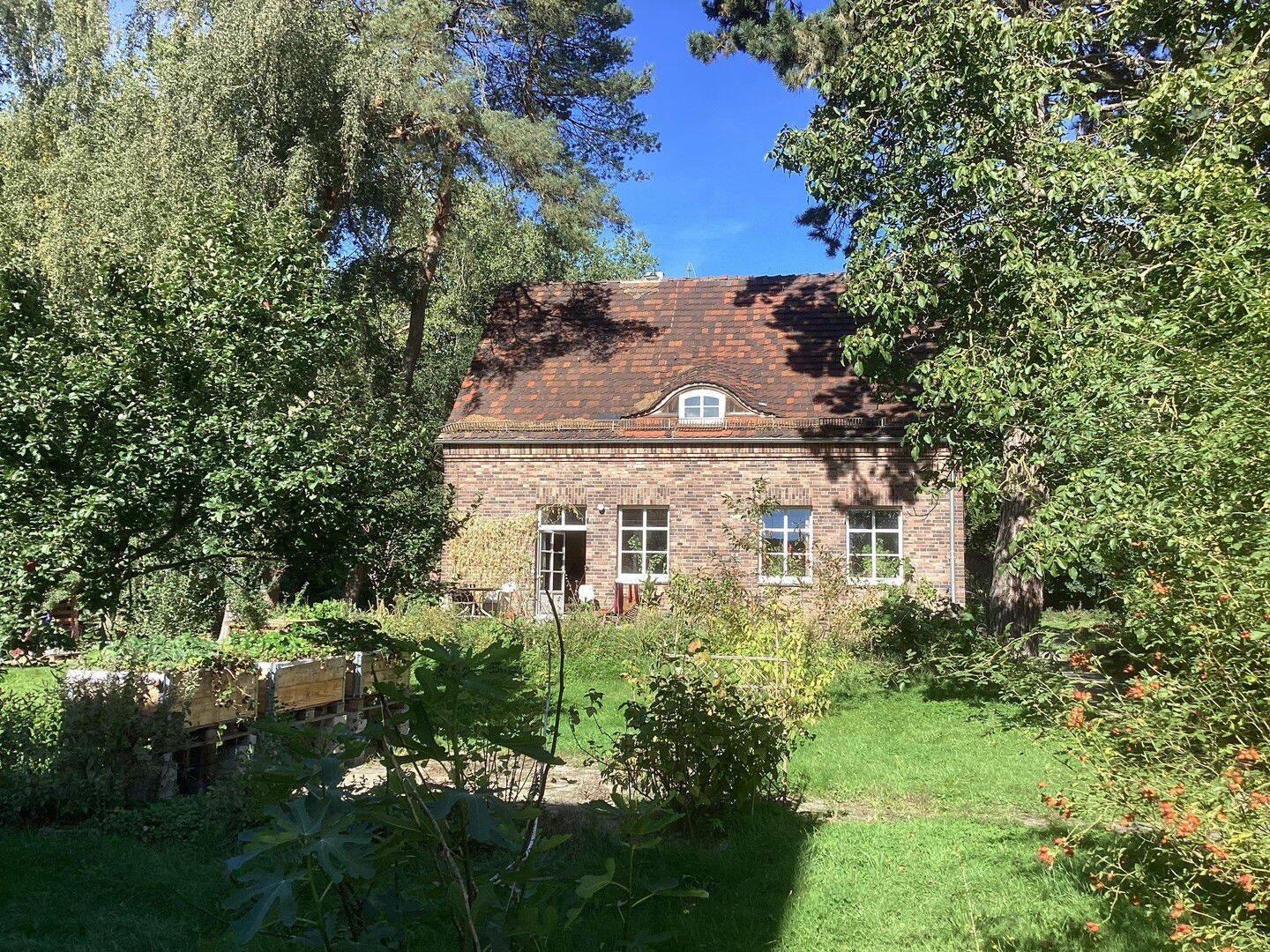 Bild 11
