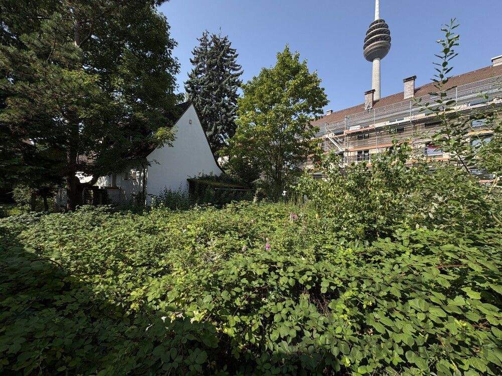 Bild 9