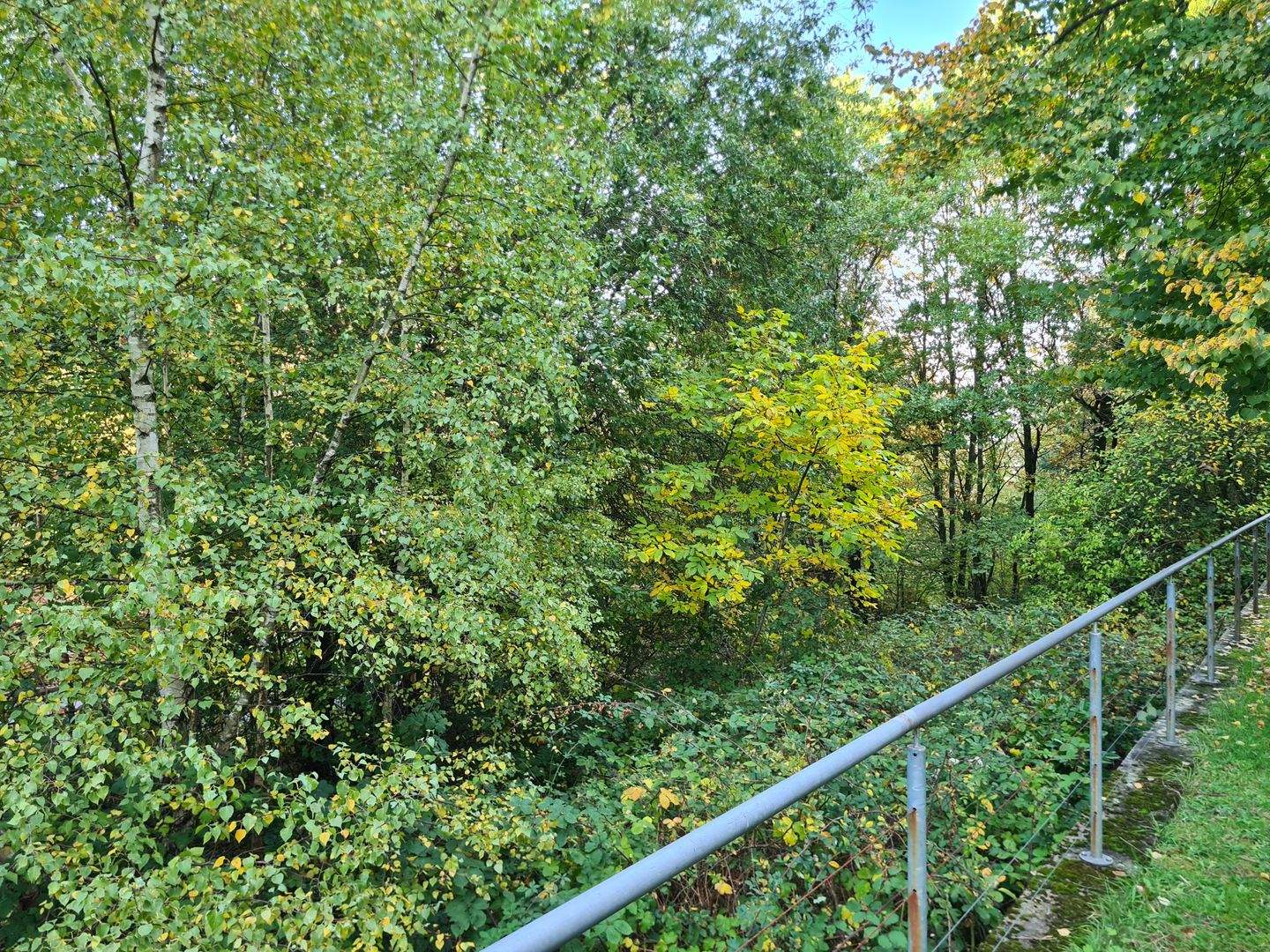 Bild 10