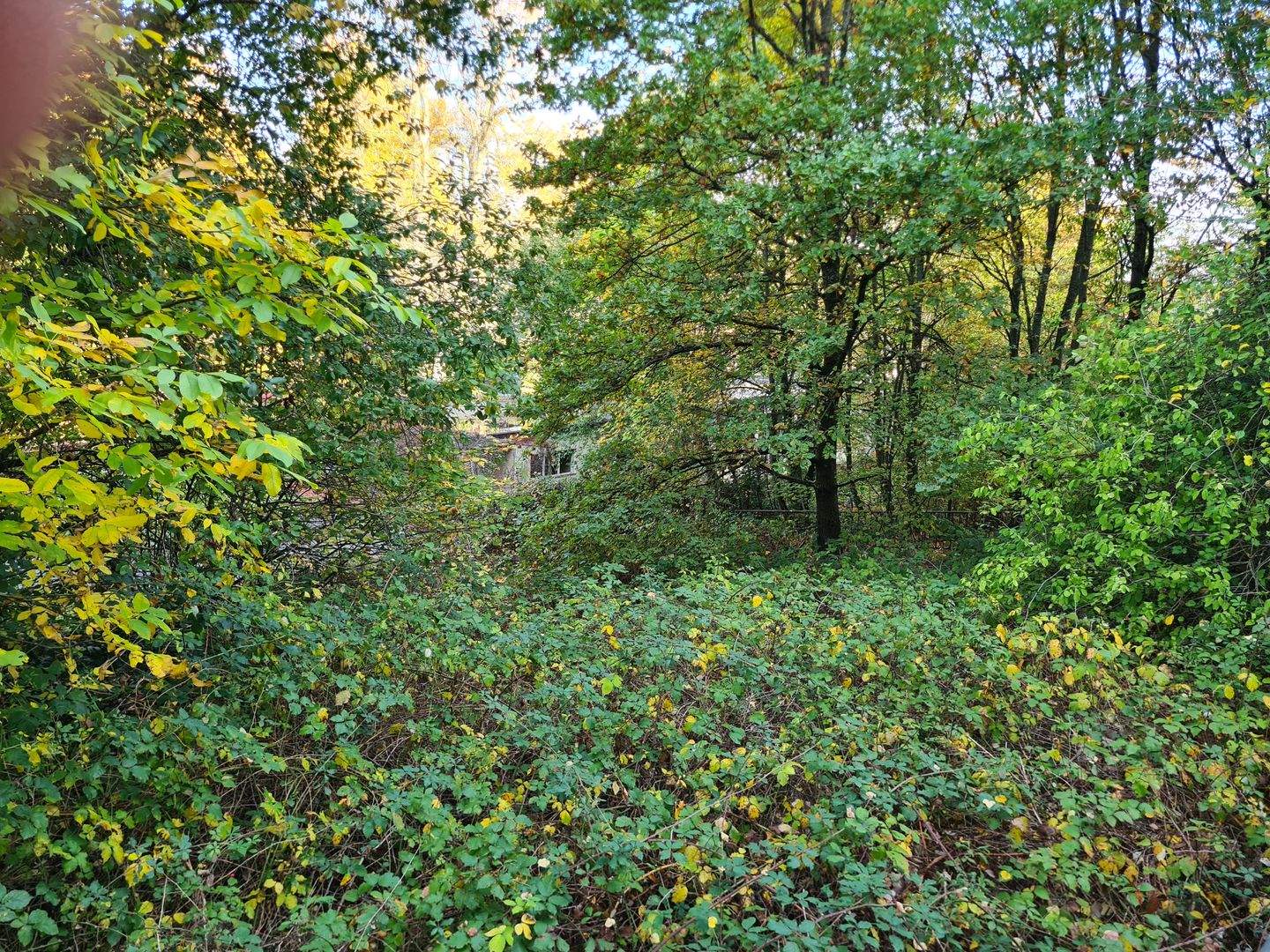 Bild 11