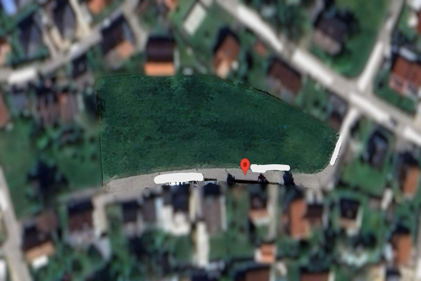 image-69978290
